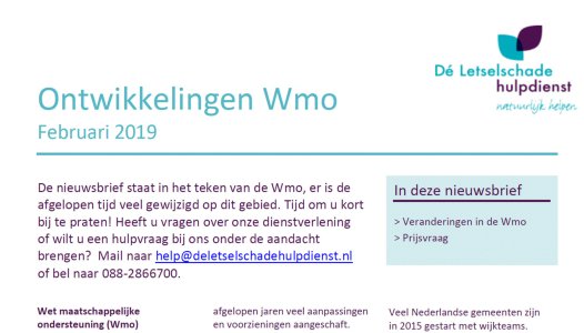 Nieuwsbrief Dé Letselschadehulpdienst februari 2019